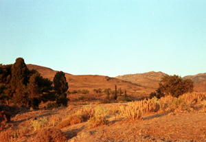 ZEISS IKON CONTAX II SONNAR 2/85